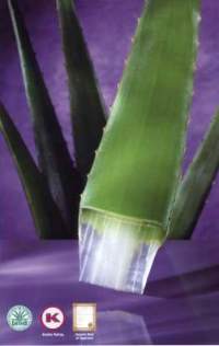 Aloe Vera - Prudukte vom Marktf�hrer Forever Living: Vertrauen Sie dem Original!